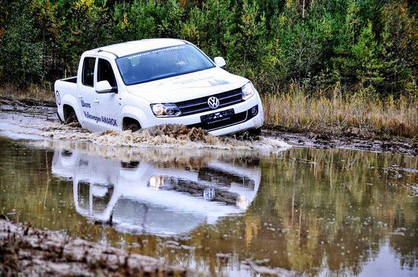 School Amarok